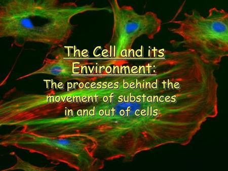 The Cell and its Environment: The processes behind the movement of substances in and out of cells.