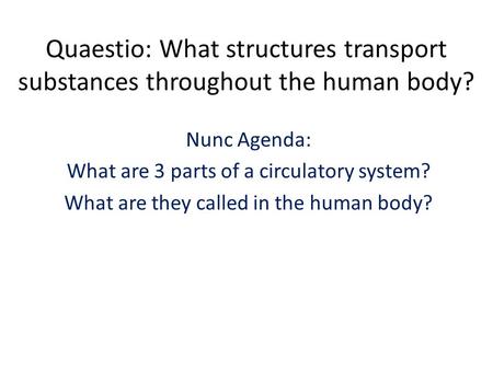 Nunc Agenda: What are 3 parts of a circulatory system?