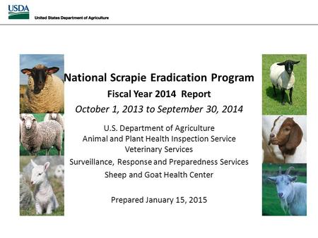 National Scrapie Eradication April 2014 Monthly Report National Scrapie Eradication Program Fiscal Year 2014 Report October 1, 2013 to September 30, 2014.