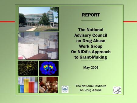 REPORT The National Advisory Council on Drug Abuse Work Group On NIDA’s Approach to Grant-Making May 2006 The National Institute on Drug Abuse.