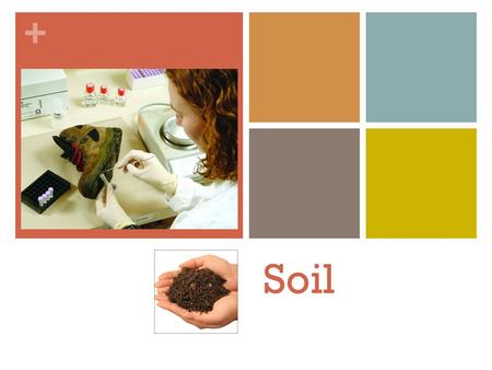 + Soil. + Soil Questions (1) What is soil? (2) What are the physical characteristics of soil? (3) What is the chemical composition of soil? (4) How do.