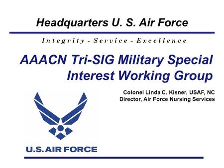 Headquarters U. S. Air Force I n t e g r i t y - S e r v i c e - E x c e l l e n c e AAACN Tri-SIG Military Special Interest Working Group Colonel Linda.