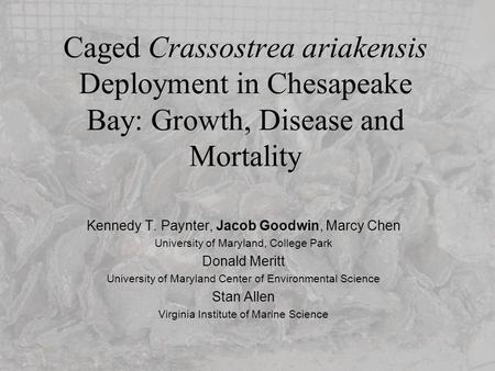 Caged Crassostrea ariakensis Deployment in Chesapeake Bay: Growth, Disease and Mortality Kennedy T. Paynter, Jacob Goodwin, Marcy Chen University of Maryland,