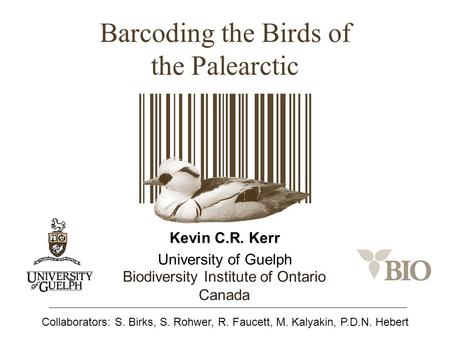 Barcoding the Birds of the Palearctic Kevin C.R. Kerr University of Guelph Biodiversity Institute of Ontario Canada Collaborators: S. Birks, S. Rohwer,