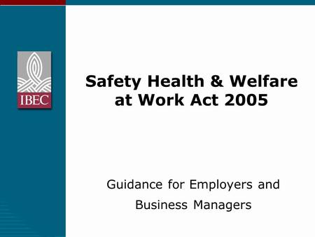 Safety Health & Welfare at Work Act 2005 Guidance for Employers and Business Managers.