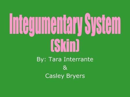 By: Tara Interrante & Casley Bryers. Protects the body from harmful environmental influences such as – mechanical damage, pathogenic organisms, etc. Sensation.