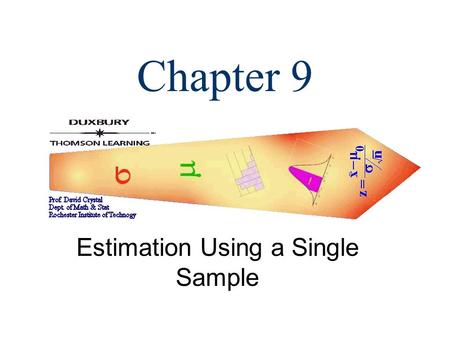 Estimation Using a Single Sample