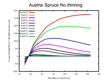 Austria Spruce No thinning. Austria Spruce 20 percent thinning.