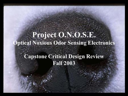 Project O.N.O.S.E. Optical Noxious Odor Sensing Electronics Capstone Critical Design Review Fall 2003.