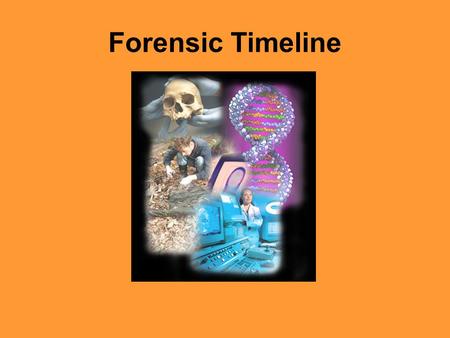 Forensic Timeline.