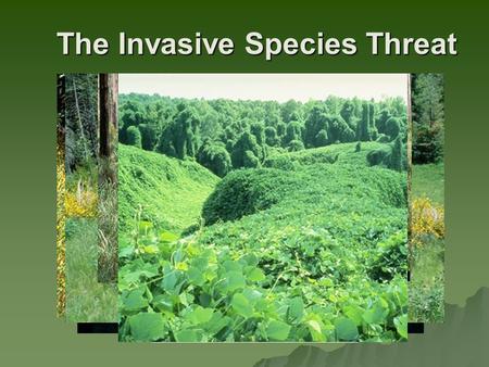 The Invasive Species Threat. The National Strategy and Implementation Plan for Invasive Species Management -Forests Out of Balance- The Impact of Invasive.