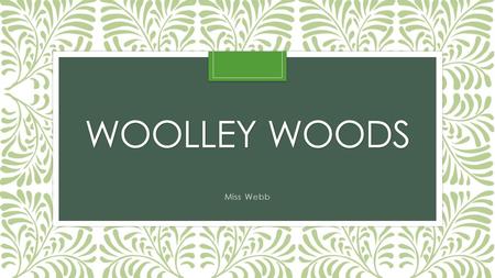 WOOLLEY WOODS Miss Webb. Expectations Children come to school every day. Exceptional behaviour and manners. All children try their best whatever the task.