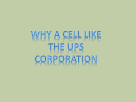 A cell is like the UPs corporation because… The cell is like the Ups corporation because is has many different functions that keep it controlled and run.