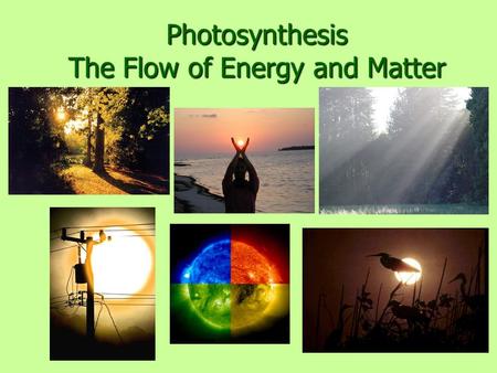Photosynthesis The Flow of Energy and Matter. Nobody can really explain photosynthesis I’d like some super smart guy to explain how a little acorn becomes.