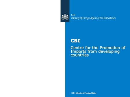 CBI - Ministry of Foreign Affairs CBI Centre for the Promotion of Imports from developing countries.
