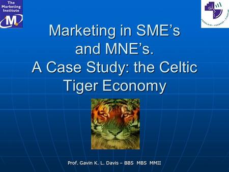 Marketing in SME’s and MNE’s. A Case Study: the Celtic Tiger Economy Prof. Gavin K. L. Davis – BBS MBS MMII.