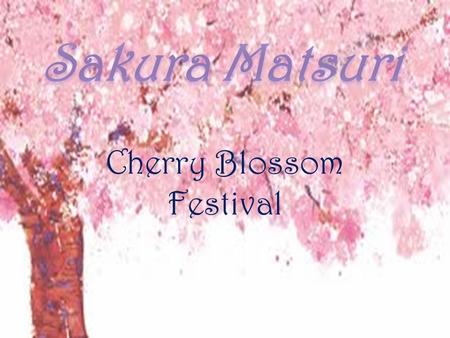 Cherry Blossom Festival. What is Sakura Matsuri? The Cherry Blossom Festival is a spring festival which celebrates the natural beauty of cherry trees,