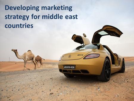 Developing marketing strategy for middle east countries.
