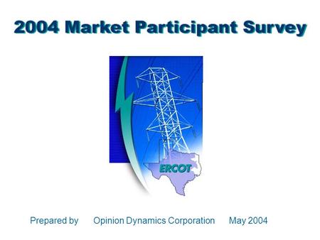 Prepared by Opinion Dynamics Corporation May 2004.