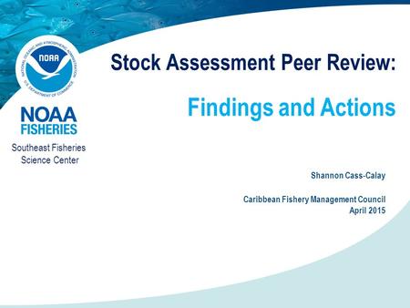 Stock Assessment Peer Review: Findings and Actions Shannon Cass-Calay Caribbean Fishery Management Council April 2015 Southeast Fisheries Science Center.