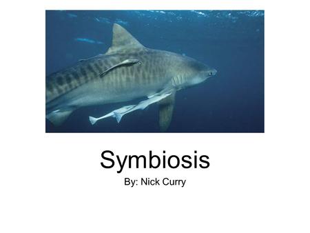 Symbiosis By: Nick Curry.