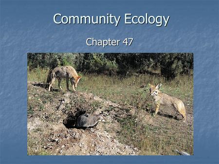 Community Ecology Chapter 47.