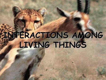INTERACTIONS AMONG LIVING THINGS. A characteristic that makes an individual better suited to its environment may eventually become common in that species.