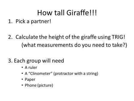 How tall Giraffe!!! Pick a partner!