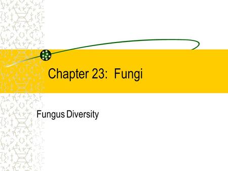 Chapter 23: Fungi Fungus Diversity Identify what fungi are. Describe habitats of fungi. Outline the structure of fungi. Describe fungi reproduction.