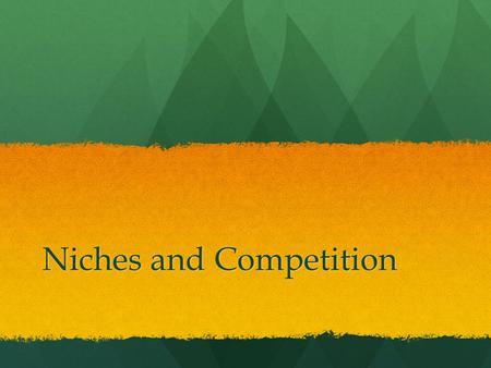 Niches and Competition