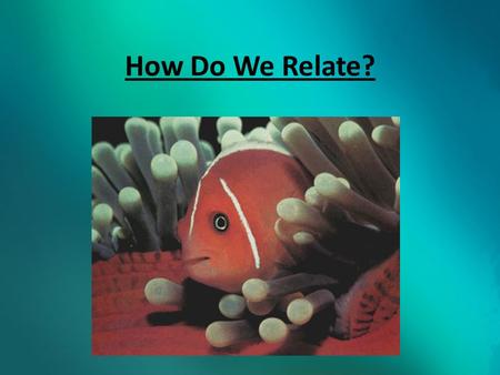 How Do We Relate?. Relationships Many organisms have developed a close relationship with other organisms of different species. These close relationships.