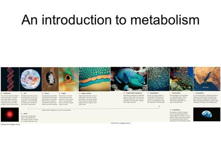 An introduction to metabolism. Totality of an organisms chemical reactions.
