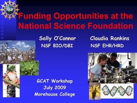 Funding Opportunities at the National Science Foundation Sally O’Connor Claudia Rankins NSF BIO/DBI NSF EHR/HRD GCAT Workshop July 2009 Morehouse College.
