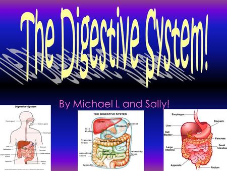By Michael L and Sally!. No a person could not survive with out the digestive system, because with out it you would not be able to get the nutrients and.