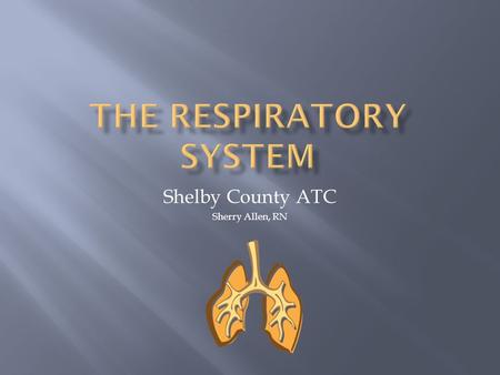 Shelby County ATC Sherry Allen, RN. Works closely with circulatory system, exchanging gases between air and blood: Takes up oxygen from air and supplies.