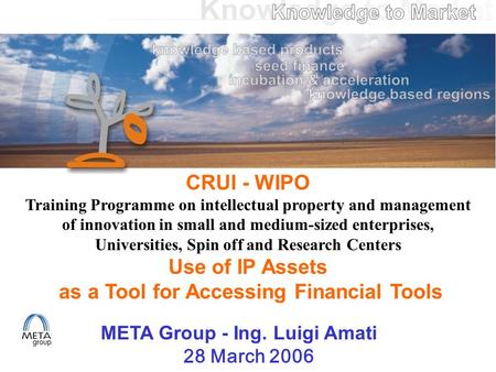 CRUI - WIPO Training Programme on intellectual property and management of innovation in small and medium-sized enterprises, Universities, Spin off and.