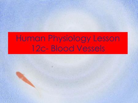Human Physiology Lesson 12c- Blood Vessels
