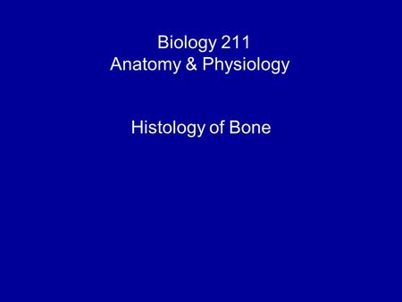 Biology 211 Anatomy & Physiology I Histology of Bone.