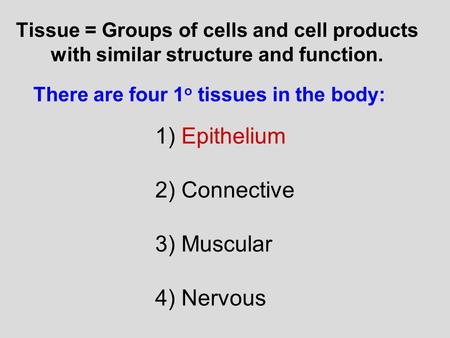 Tissue = Groups of cells and cell products with similar structure and function. There are four 1 o tissues in the body: 1) Epithelium 2) Connective 3)