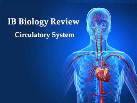 IB Biology Review Circulatory System. Why do we need blood circulation? Move blood around the body to Bring oxygen to cells Take away carbon dioxide Take.