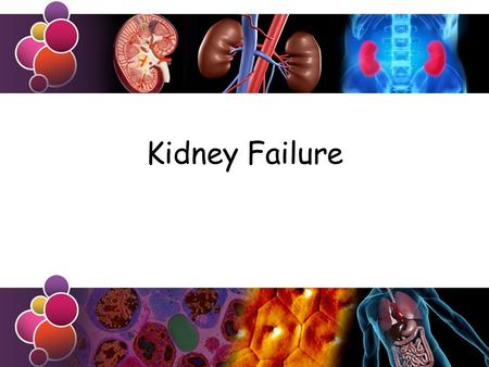 Kidney Failure. Learning Objective Success Criteria To know about kidney failure Outline the problems that arise from kidney failure and discuss the use.