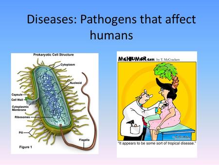 Diseases: Pathogens that affect humans. What is a disease? A disease is an abnormal condition that affects the body of an organism. Infectious diseases.