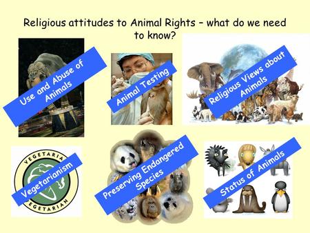Religious attitudes to Animal Rights – what do we need to know?