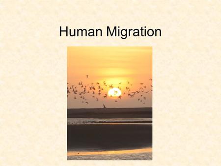 Human Migration.