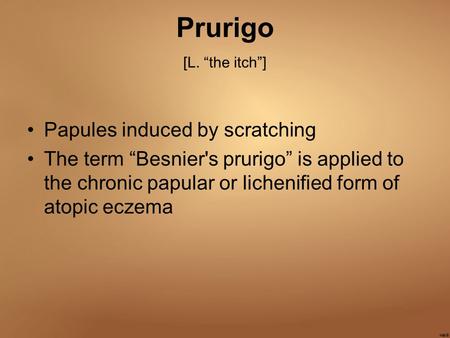Prurigo [L. “the itch”] Papules induced by scratching