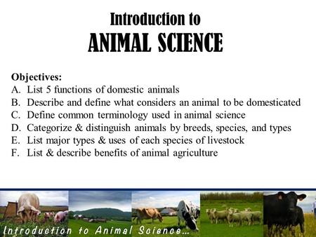 Introduction to ANIMAL SCIENCE Objectives: A.List 5 functions of domestic animals B.Describe and define what considers an animal to be domesticated C.Define.