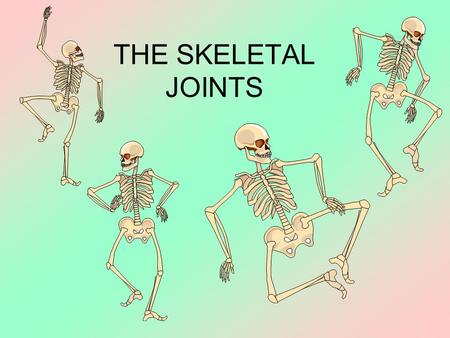 THE SKELETAL JOINTS.