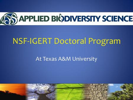 NSF-IGERT Doctoral Program At Texas A&M University.