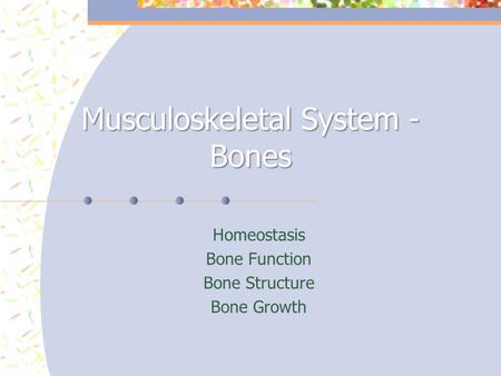 Musculoskeletal System - Bones Homeostasis Bone Function Bone Structure Bone Growth.