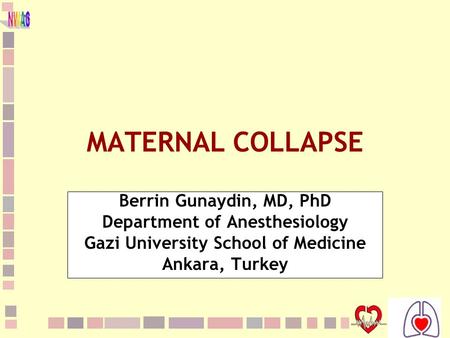 1 MATERNAL COLLAPSE Berrin Gunaydin, MD, PhD Department of Anesthesiology Gazi University School of Medicine Ankara, Turkey.